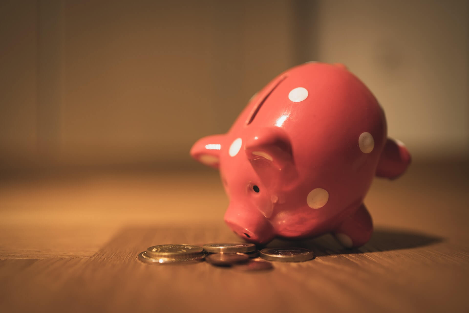 Normal Loan