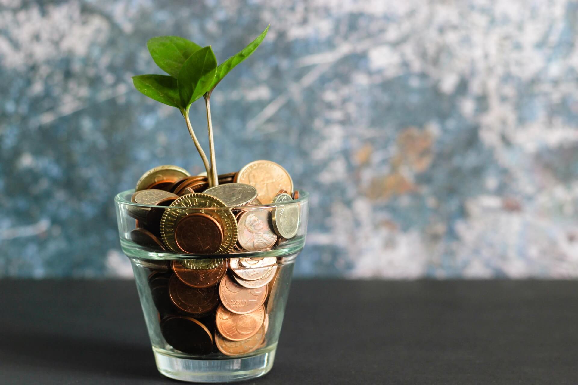 Savings Account
